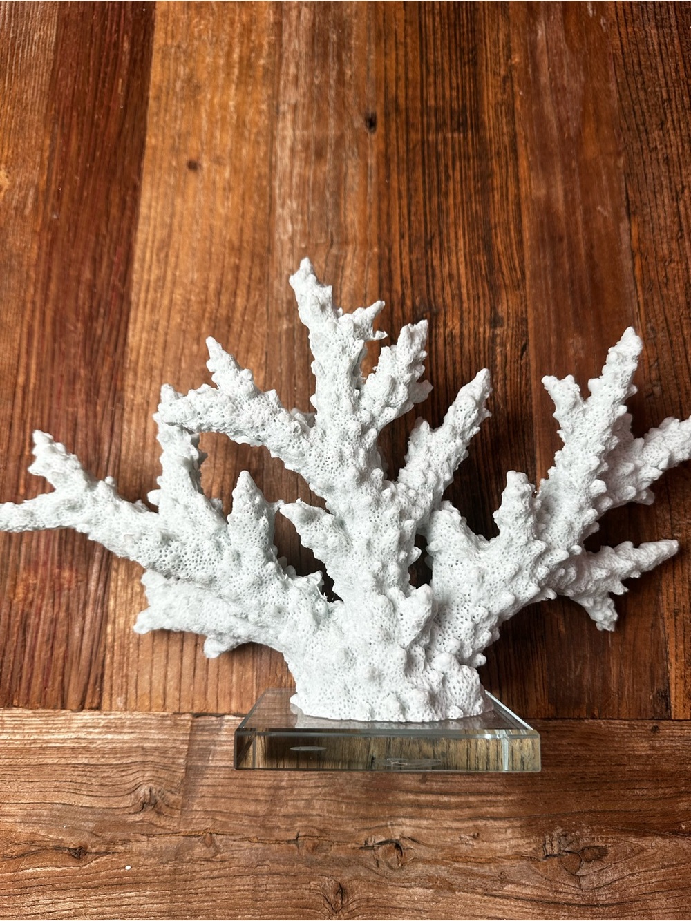 Decorative light blue Coral Accent Sculpture - Home Art